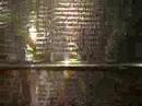 Stanley Cup Myk Aussie